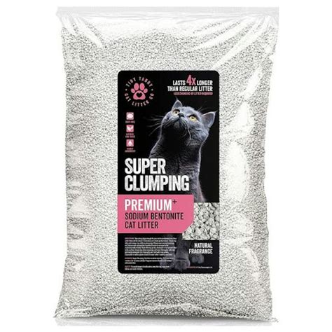 best clumping cat litter|10 Best Clumping Cat Litters – 2024 Expert Picks.